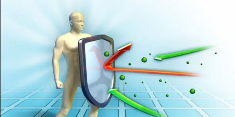 Vina Tảo Spirulina