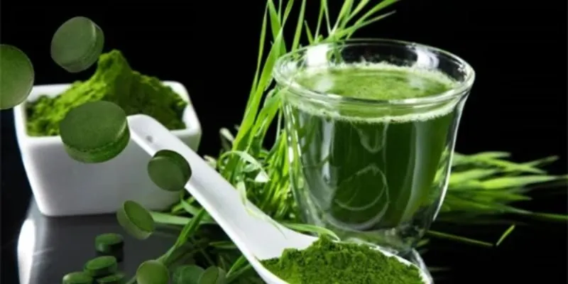 bằng chứng khoa học