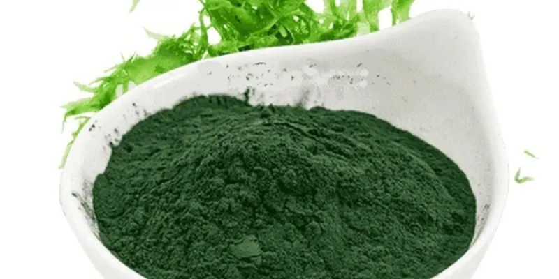 Lợi ích của Tảo Spirulina đối với sự phát triển của trẻ em