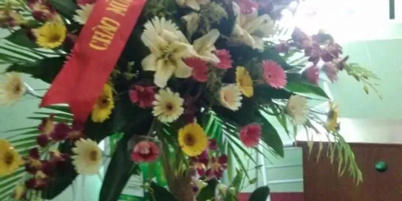 thông báo chuyển